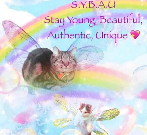 Stay Young Beautiful Authentic Unique Cat