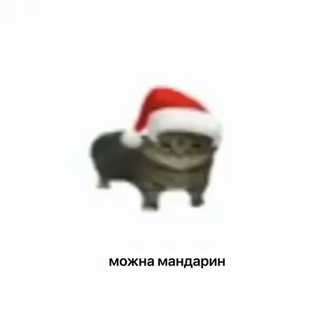 Можно мандарин под Новый год