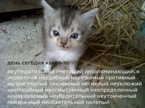Сегодня какой-то неутешительный день