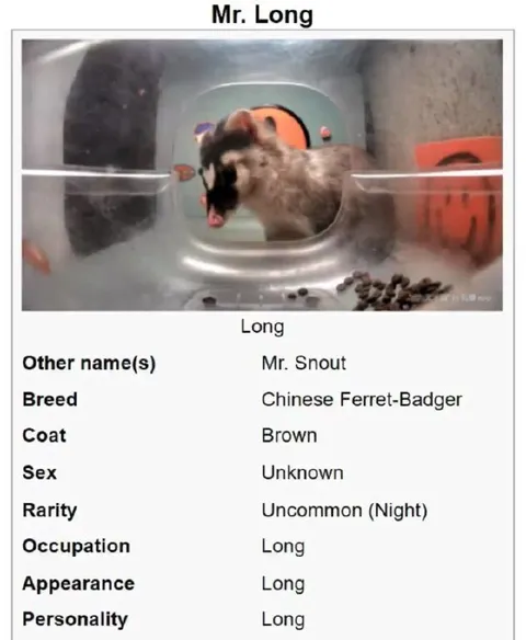 Mr. Long Ferret-Badger Profile