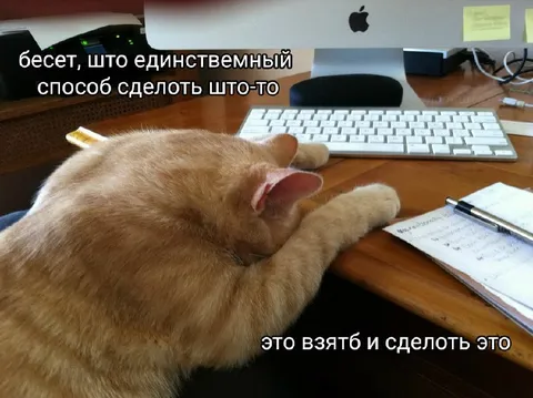 Единственный способ что-то сделать