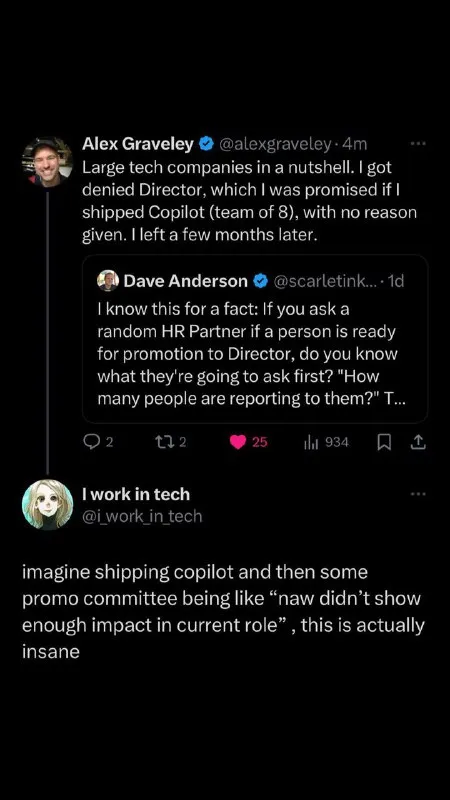 Large Tech Companies in a Nutshell