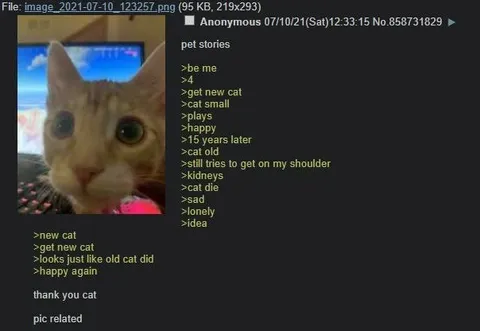 Old Cat, New Cat