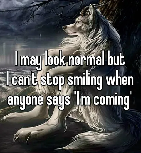 Wolf Smiles When You’re Coming