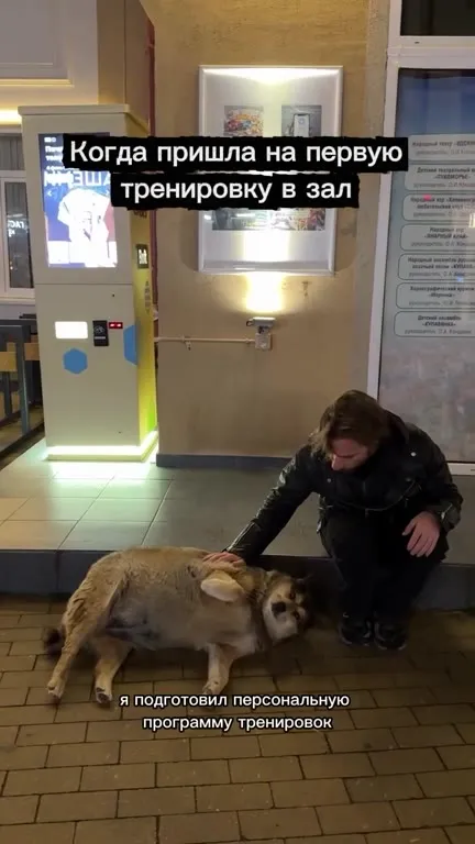 Тренер и собака в спортзале