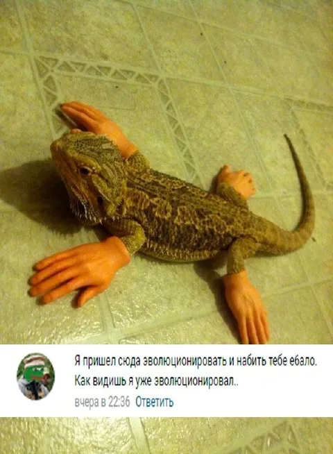 Эволюционировавшая ящерица