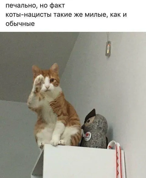 Милые коты-нацисты