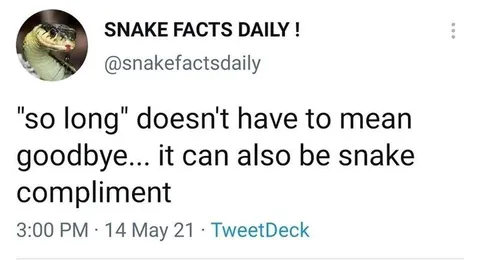Snake Compliment Pun
