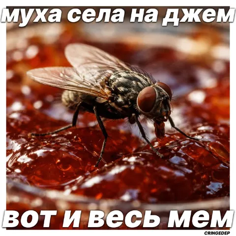 Муха села на джем