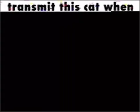 Unexpected Cat Transmission