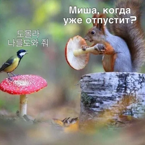 Миша, когда уже отпустит