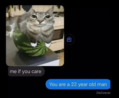 Cat on Watermelon If You Care