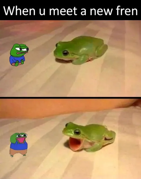 When You Meet a New Fren