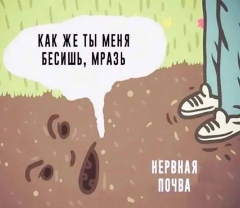 Нервная почва бесится