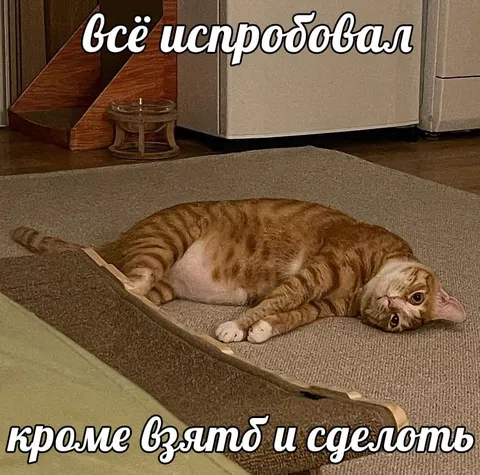Всё испробовал, кроме взятой и сделал