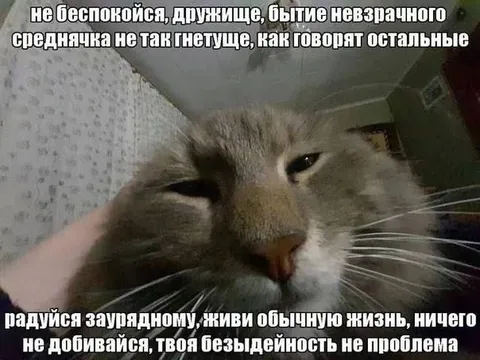 Не беспокойся, дружище