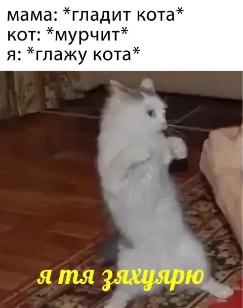 Кот мурчит, а я глажу