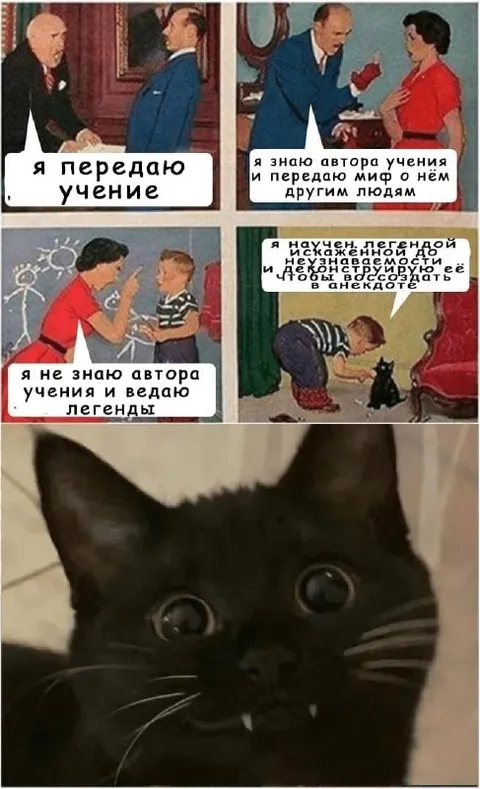 Кот узнал про учение