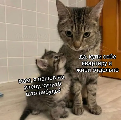 Купи себе квартиру