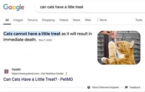 Cats Cannot Have a Little Treat