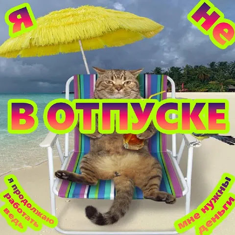 Кот в отпуске