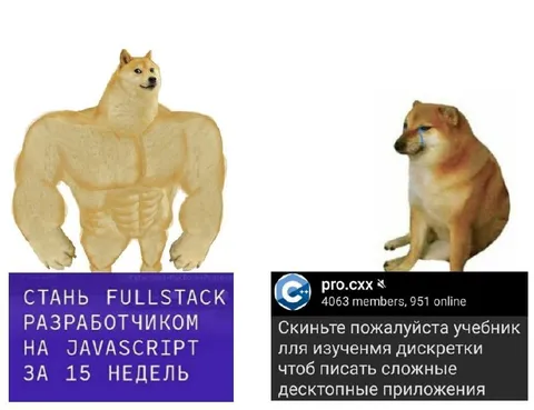 Стань Fullstack разработчиком за 15 недель