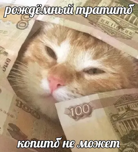 Рождённый тратить деньги