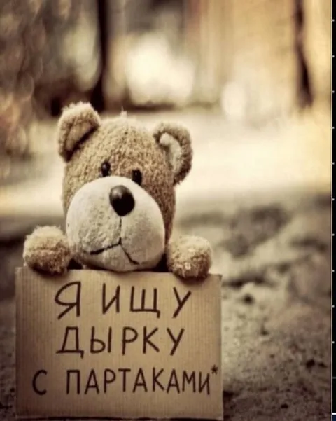 Медвежонок ищет дырку