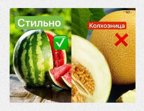 Арбуз стильно, дыня колхозница