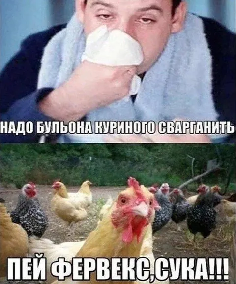 Надо куриного бульона сварганить