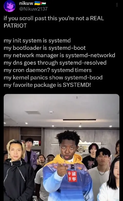 Systemd Patriot
