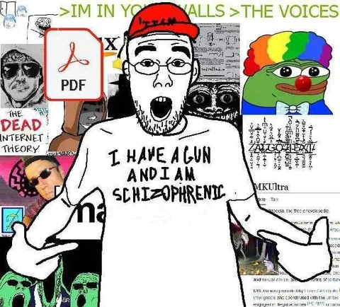 I Have a Gun and I Am Schizophrenic