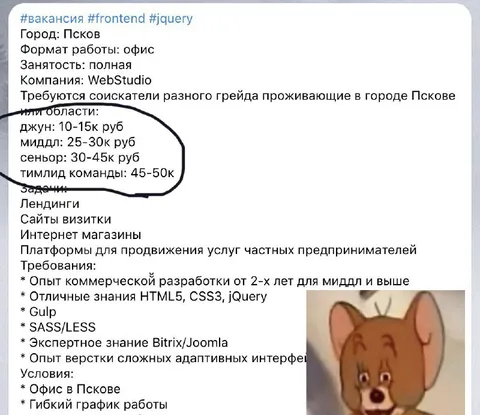 Вакансия с зарплатой джуна