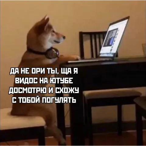 Досмотрю видос и погуляем