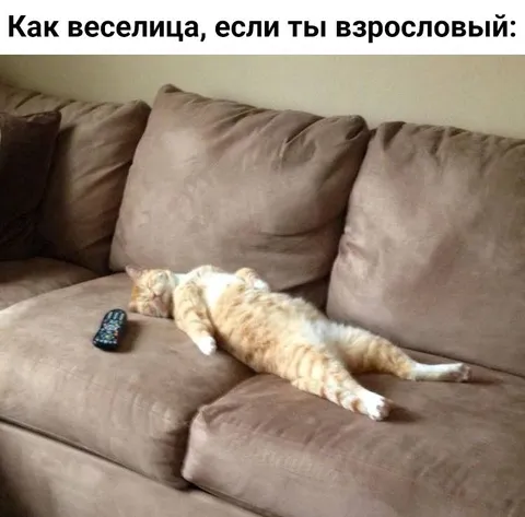 Как веселится взрослый