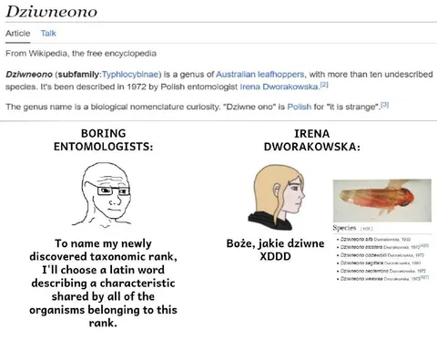 Irena Dworakowska Names Dziwne Ono