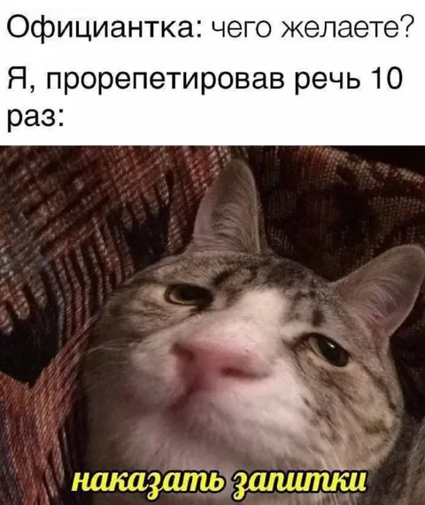 Кот заказывает защитки
