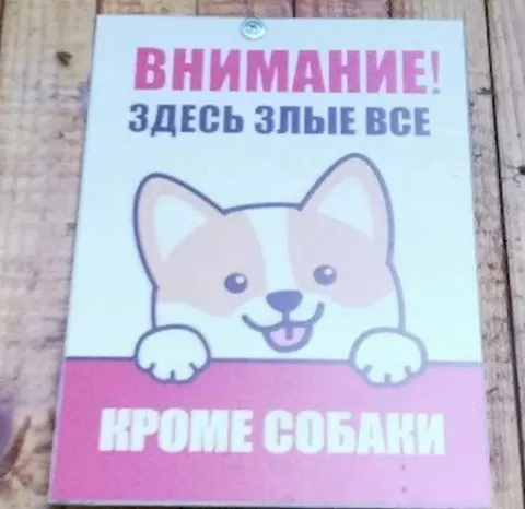 Злые все, кроме собачки