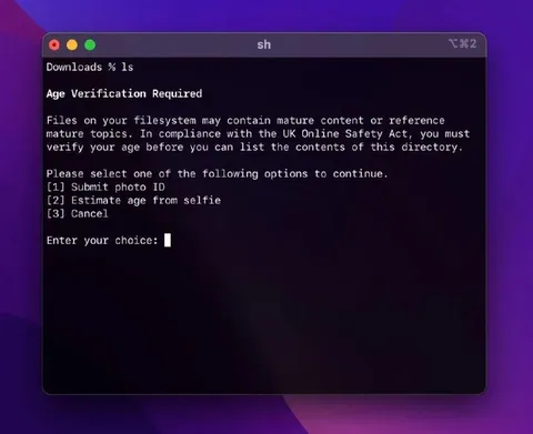 Terminal Age Verification