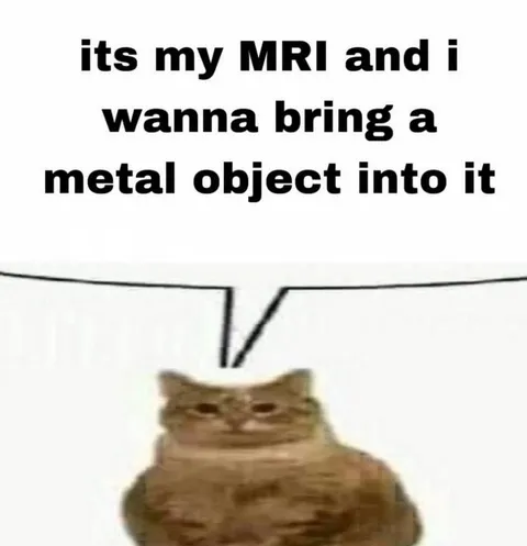 Cat Wants Metal in MRI