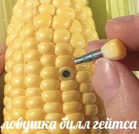 Ловушка Билла Гейтса