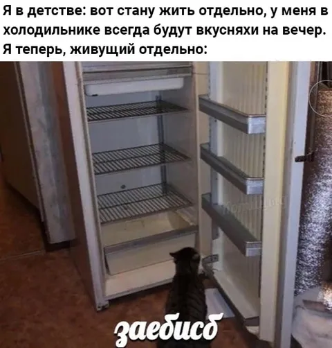 Холодильник живущего отдельно