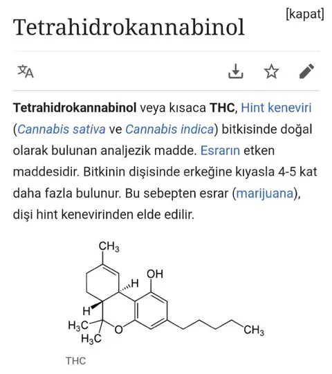 Tetrahidrokannabinol ve THC