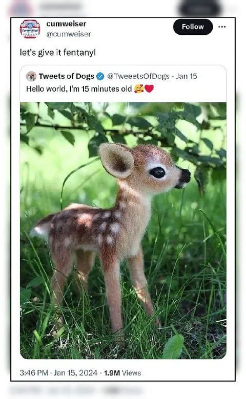Fawn Welcomes the World