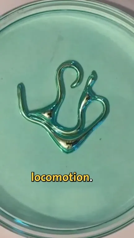 Self-Moving Liquid Metal