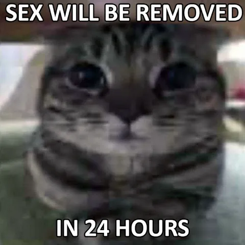 Sex Will Be Removed in 24 Hours
