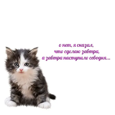Завтра, которое наступило сегодня