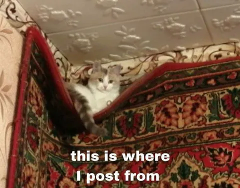Cat Posting From Behind the Rug