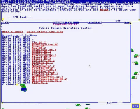 Two TempOS Partitions