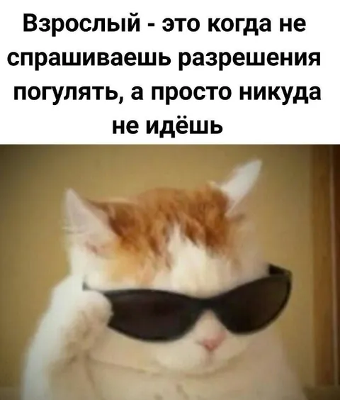 Взрослый никуда не идёт